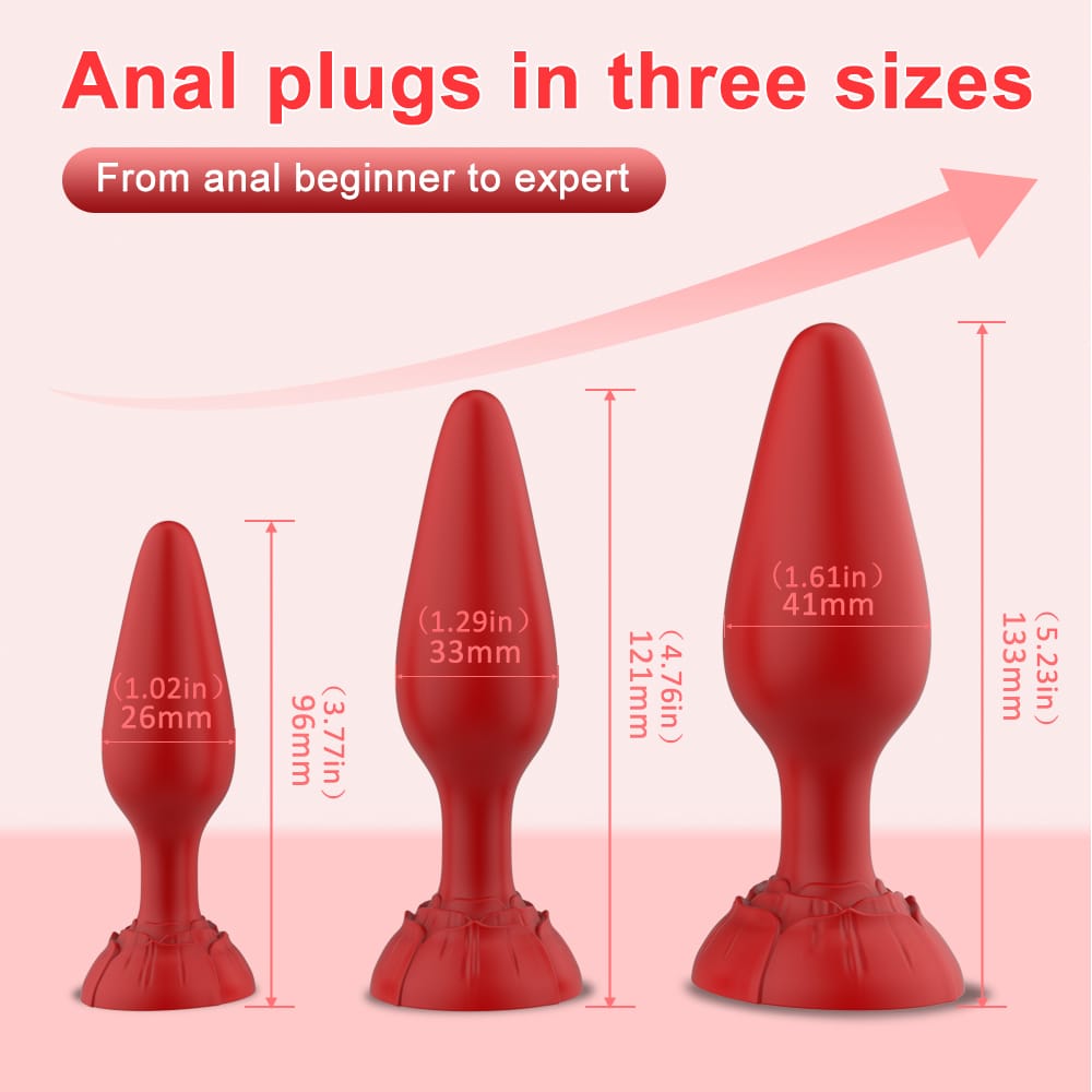 Set of 3 Silicone Butt Plugs