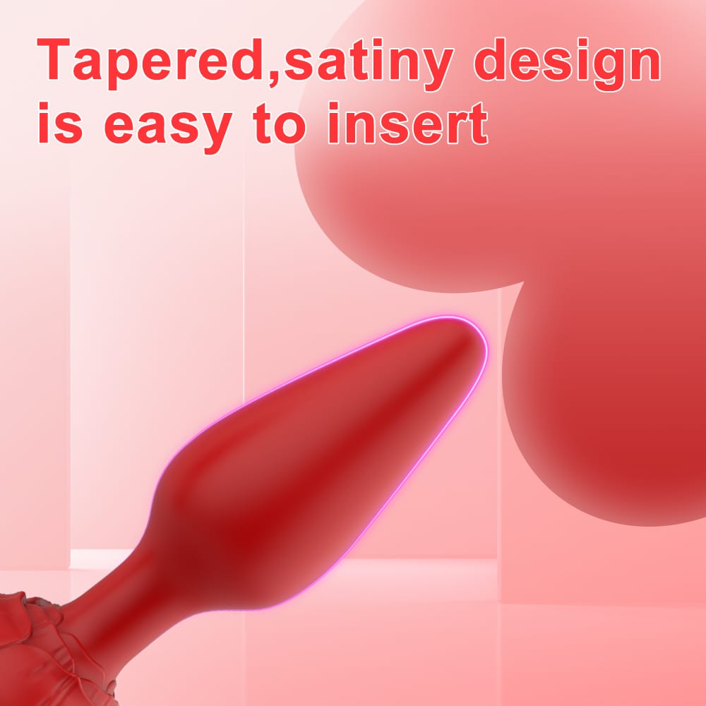 Set of 3 Silicone Butt Plugs