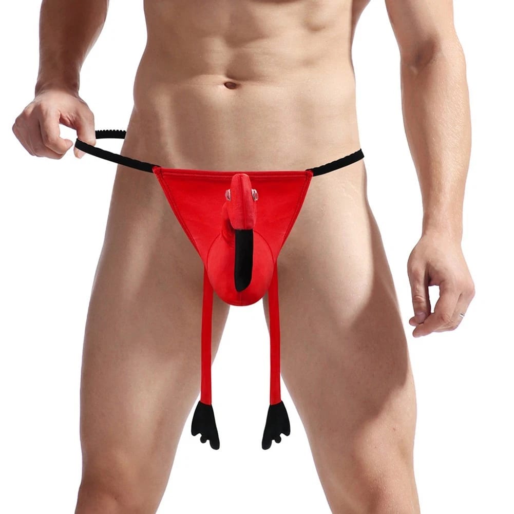 Tropical Temptation: Flamingo Flair Male Thong