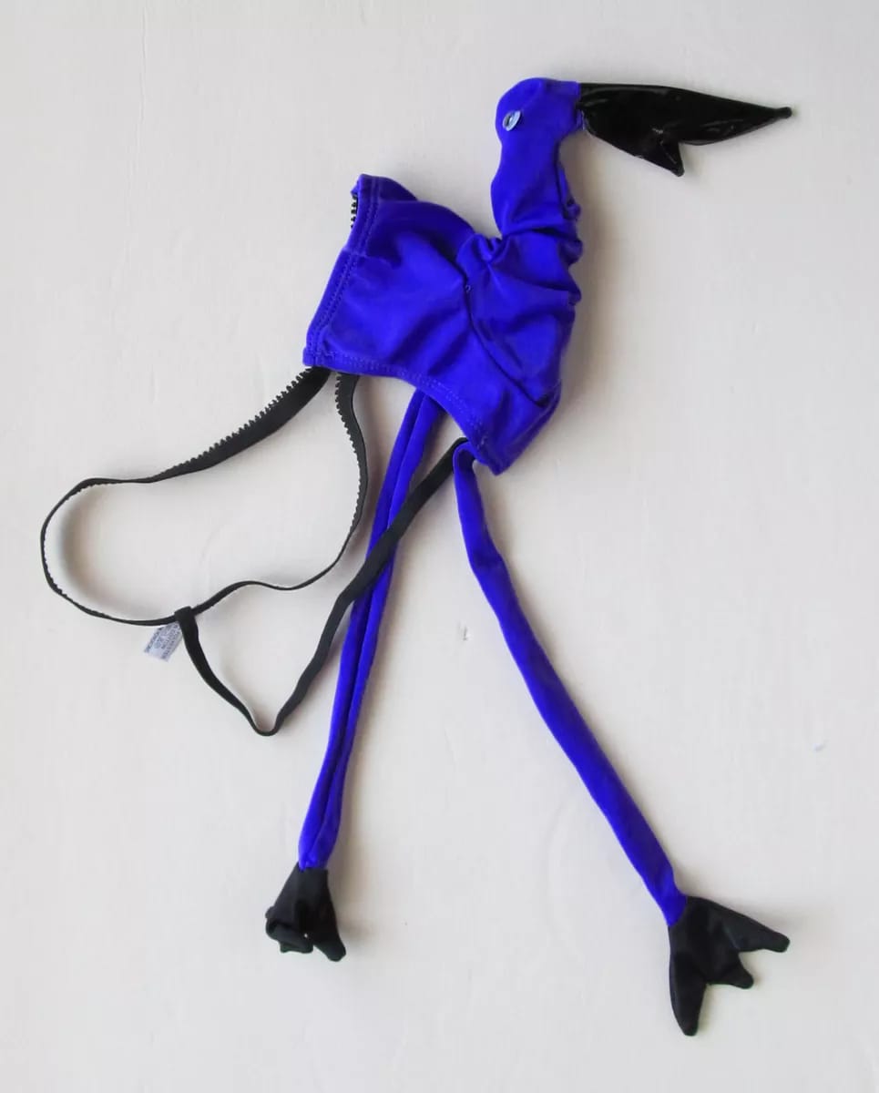 Tropical Temptation: Flamingo Flair Male Thong