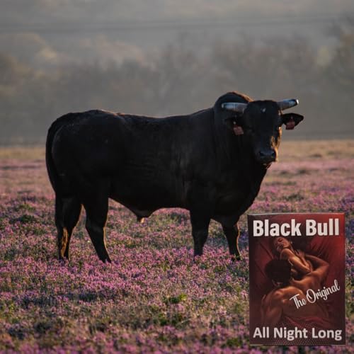 Black Bull Male Enhancer - 2 Capsules